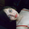 victorya_