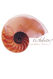 Cocteau Twins - Tishbites - Poster / Capa / Cartaz - Oficial 1