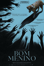 Bom Menino (Good Boy)