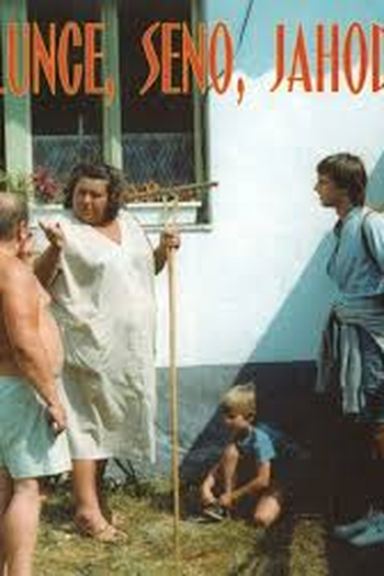 Poster de Filme Slunce, seno, jahody (1984)