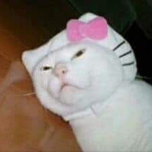 Foto de perfil de Yanka De Maio