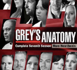A Anatomia de Grey (7ª Temporada)
