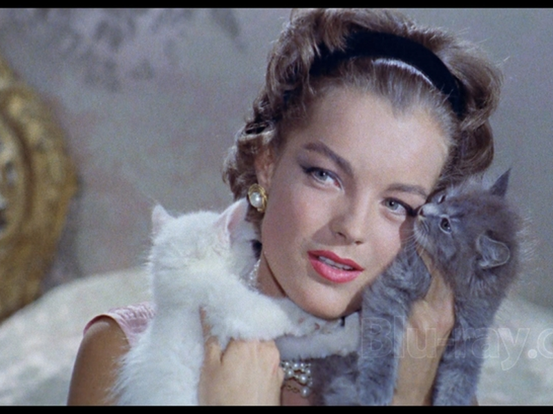 Foto 16 de Boccaccio '70