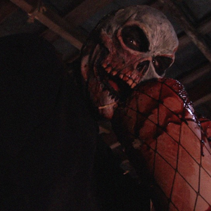 Foto de perfil de Ana Metzli