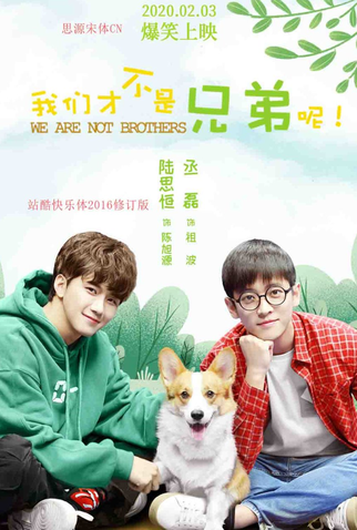 Poster 2 de Série We Are Not Brothers (1ª Temporada) (2020)