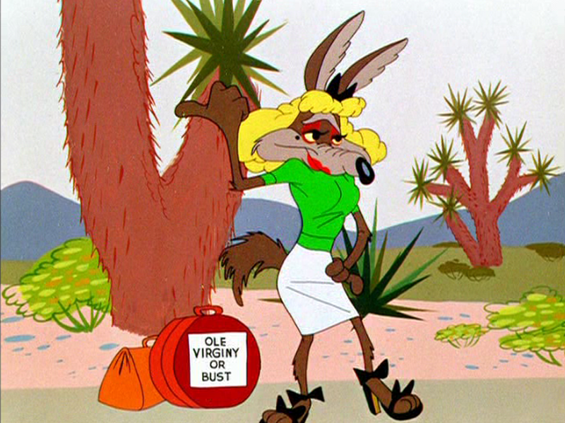 Foto 6 de Cuidado com a Buzina