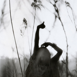 Foto de perfil de André Torres