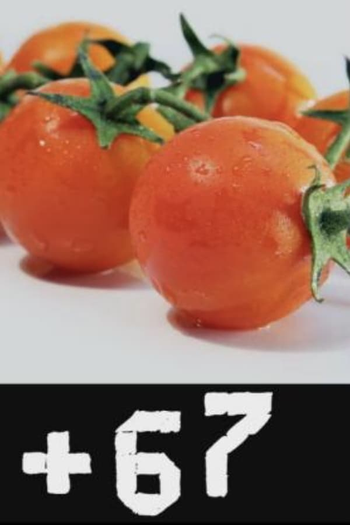 Poster de Curta #67 (2012)