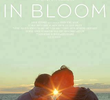 In Bloom