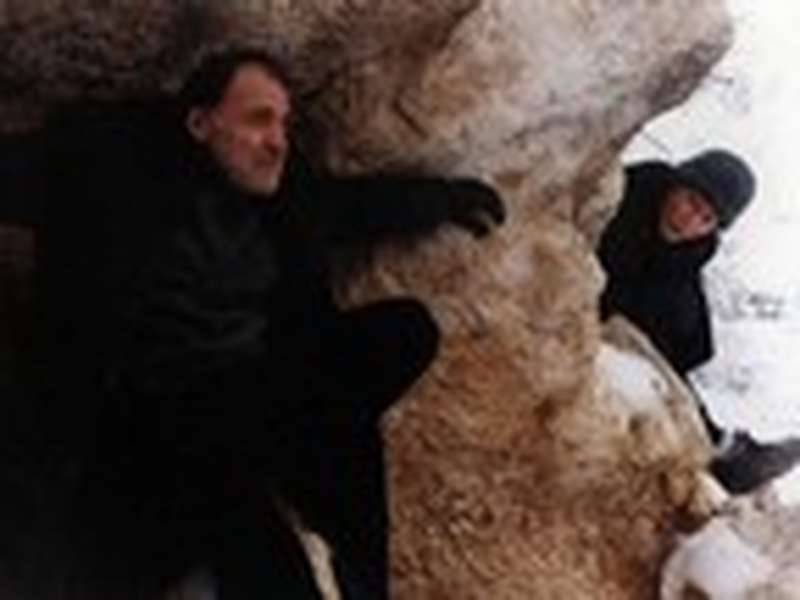 Foto 8 de WhoAfraidWolf      (WerAngstWolf)