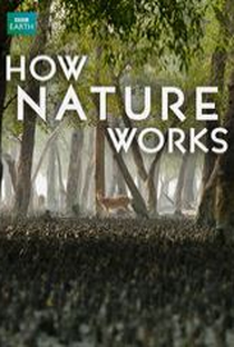 Como a natureza funciona - Poster / Capa / Cartaz - Oficial 1