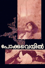 Crepúsculo (പോക്കുവെയിൽ)