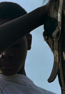 O Cavalo (The Horse)