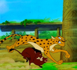 Big Jungle Game