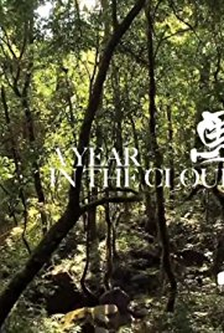 Poster 1 de Filme A Year in the Clouds (2011)