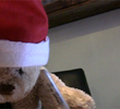 Misery Bear's Christmas