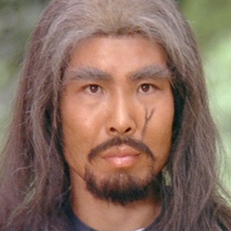 Tiger Yang (II) - Foto 1