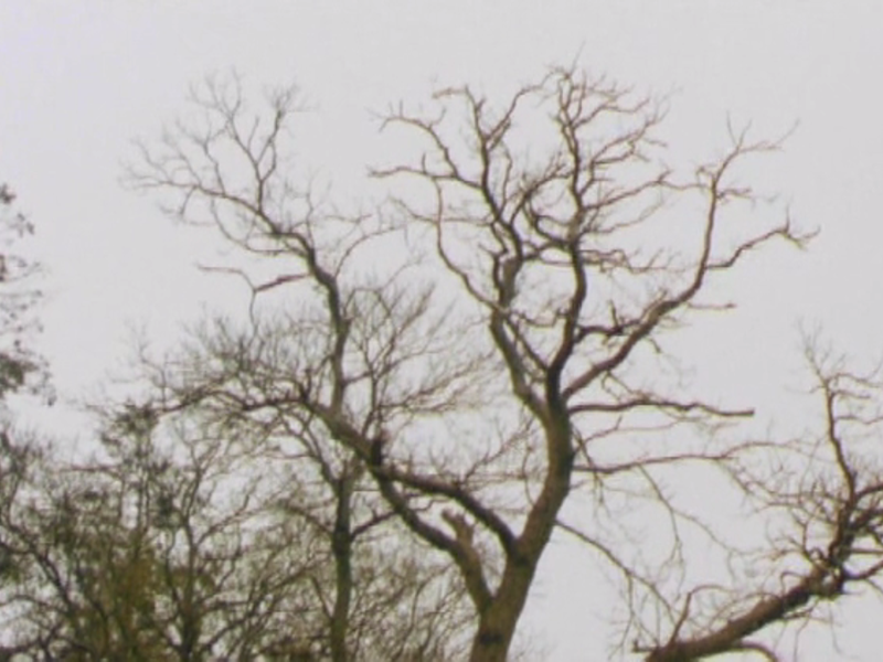 Foto 6 de O Demônio Da Passagem 