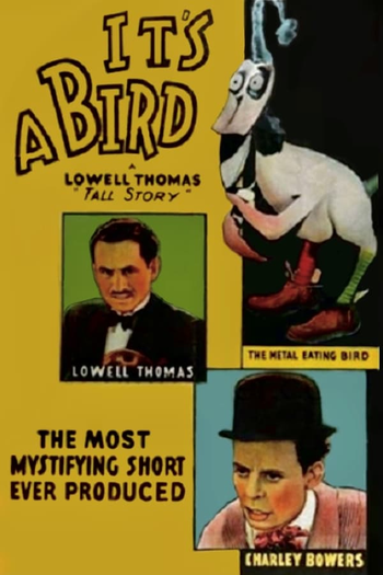 Poster de Curta It's a Bird (1930)