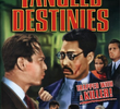Tangled Destinies