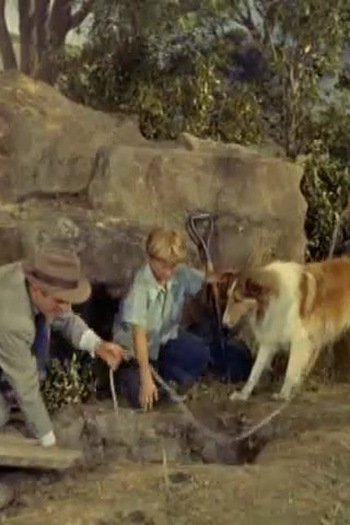 Poster de Episódio The Well (1955)
