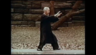 THE PROFESSOR: Tai Chi's Journey West - Official Trailer