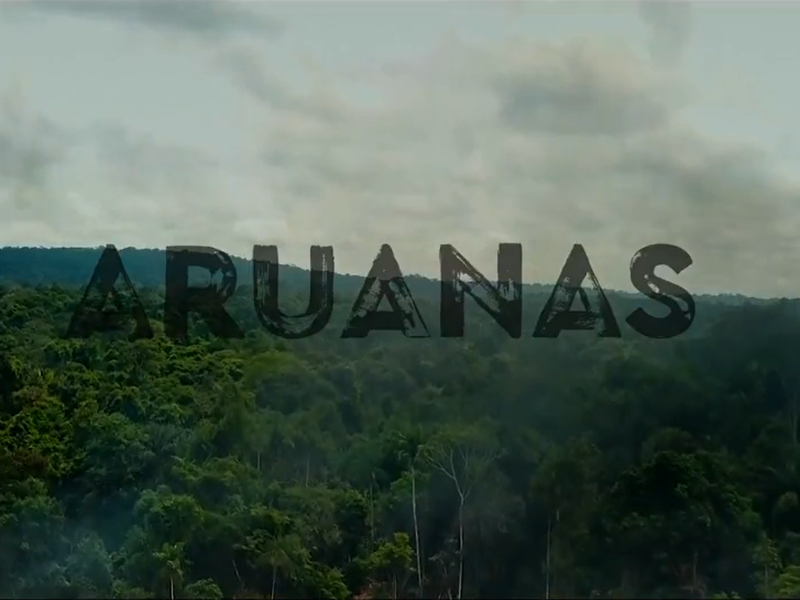 Foto 1 de Aruanas (1ª Temporada)