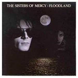 Foto de perfil de Vitor