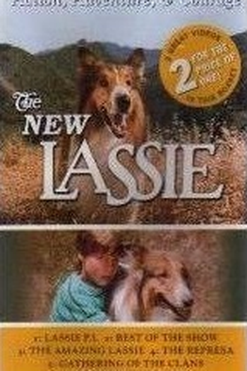 Poster de Série Lassie (1989)