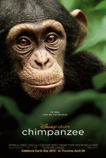 Chimpanzé - Poster / Capa / Cartaz - Oficial 1