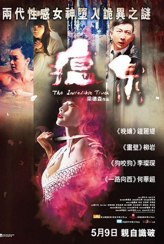 Poster 3 de Filme The Incredible Truth (2012)