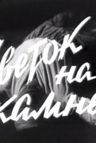 Poster 1 de Filme Flor Sobre a Pedra (1962)