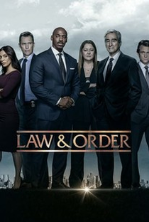 Law & Order (21ª Temporada) - Poster / Capa / Cartaz - Oficial 1