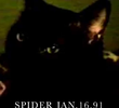 Spider Jan.16.91