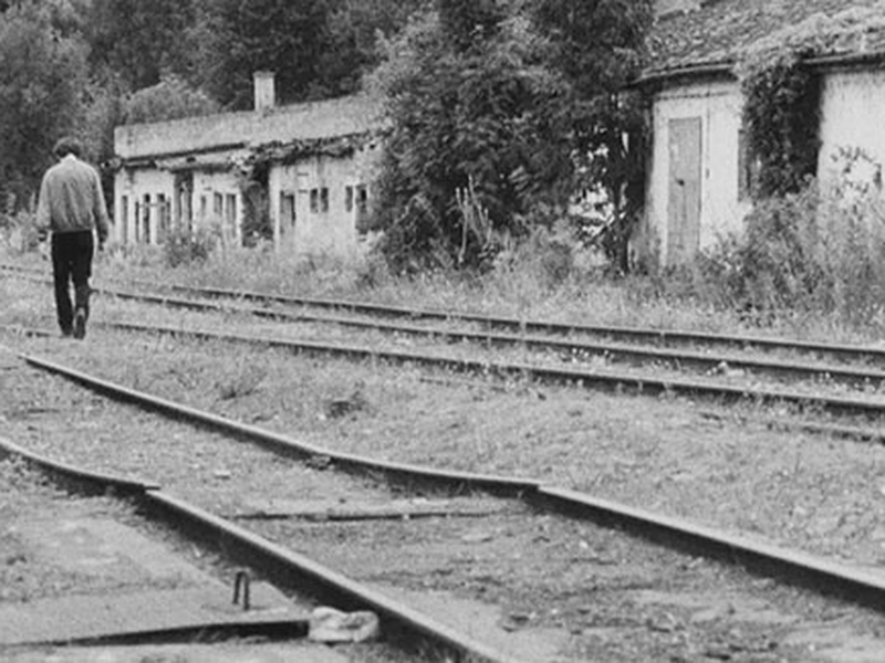 Foto 4 de Carvão Branco