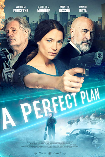 Poster de Filme A Perfect Plan (2020)