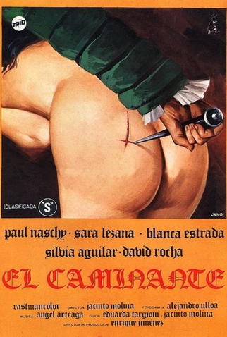 Poster 1 de Filme O Andarilho (1979)