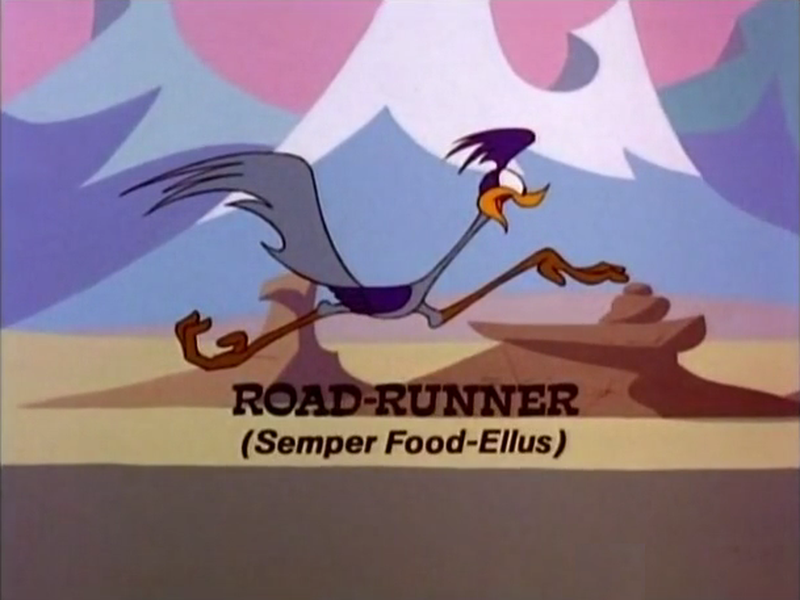 Foto 5 de Freeze Frame