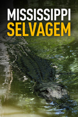 Mississippi Selvagem (Mississippi Selvagem)