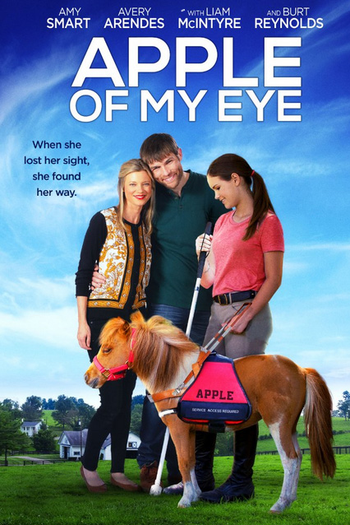 Poster de Filme Menina dos Olhos (2017)