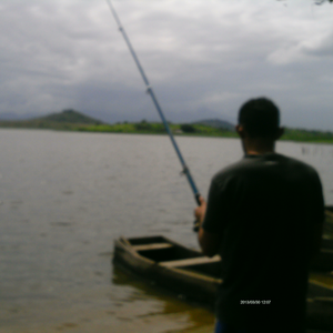 Foto de perfil de Henrique Silva