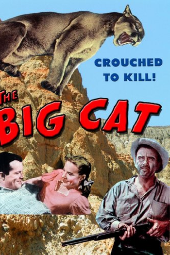 Poster de Filme A Pantera (1949)