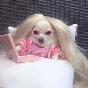 Foto de perfil de diesel