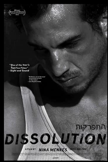 Poster de Filme Dissolution (2010)