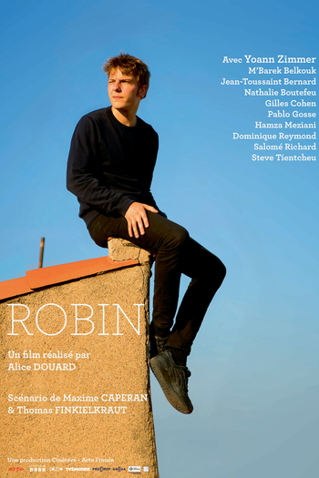 Poster de Filme Robin (2017)