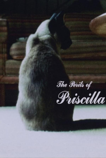The Perils of Priscilla - Poster / Capa / Cartaz - Oficial 1