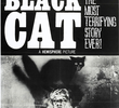 The Black Cat