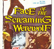 Face of the Screaming Werewolf 