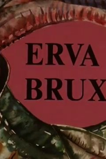 Erva Bruxa (Erva Bruxa)