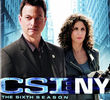 CSI: Nova Iorque (6ª temporada)